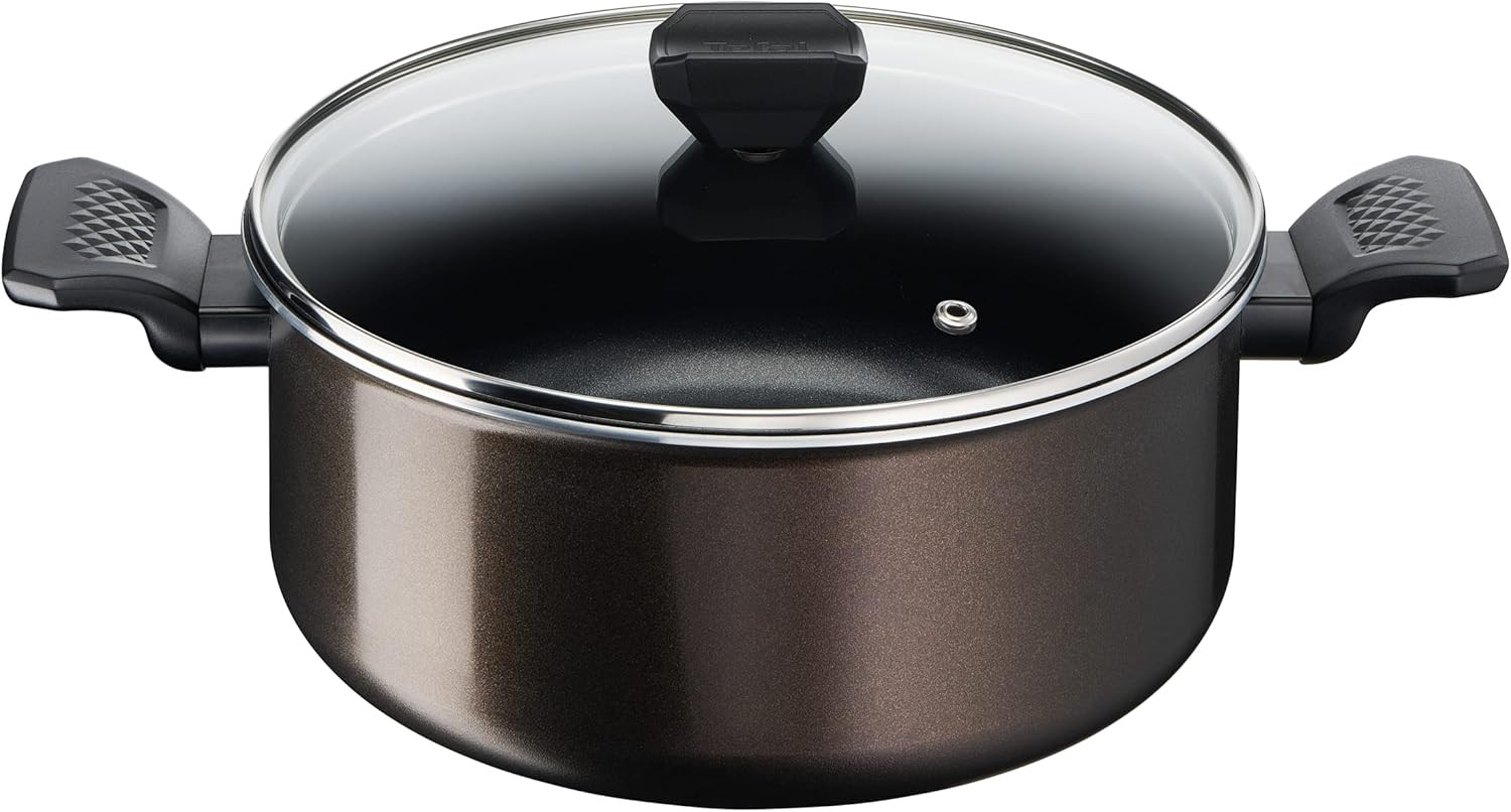 Tefal Easy Cook & Clean 24cm 4.7L Pot with Lid B5544602