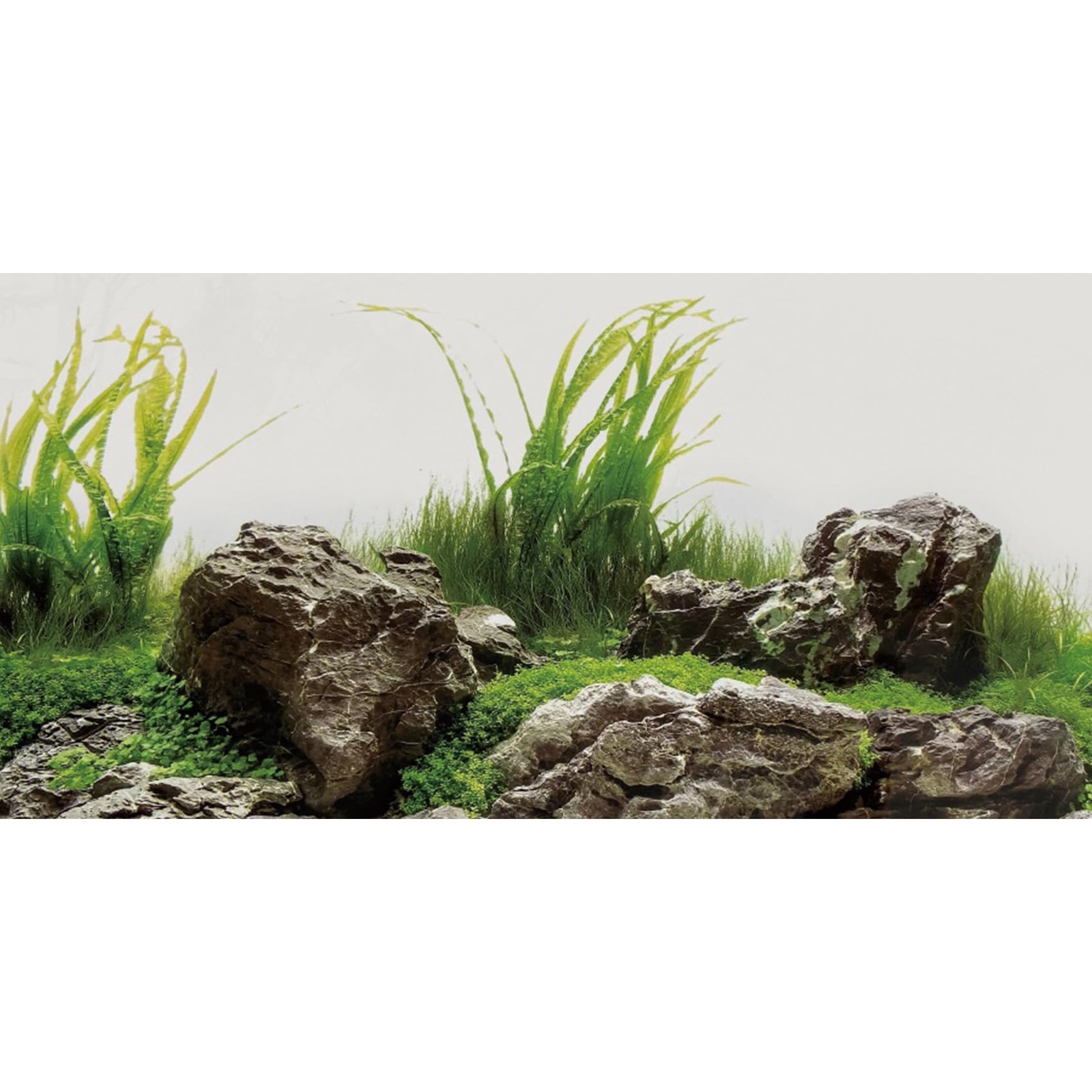 91x41cm Alga Acquario Sfondo Pianta Acquatica Fiume Letto e Lago Acquario