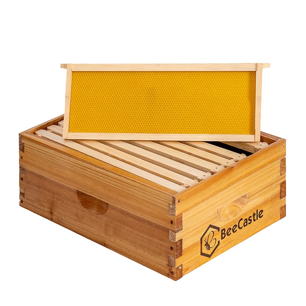 8 Frame Medium Super Bee Hive Box, Langstroth Honey Bee Hive Dipped in 100% B...