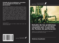 Estudio De Los Problemas Causados Por La PéRdida De Fluidos De PerforacióN Buch