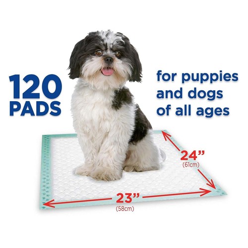 Member's Mark Pet Training Pads, 23" x 24" (120 ct.) (pack of 2) - Picture 4 of 5