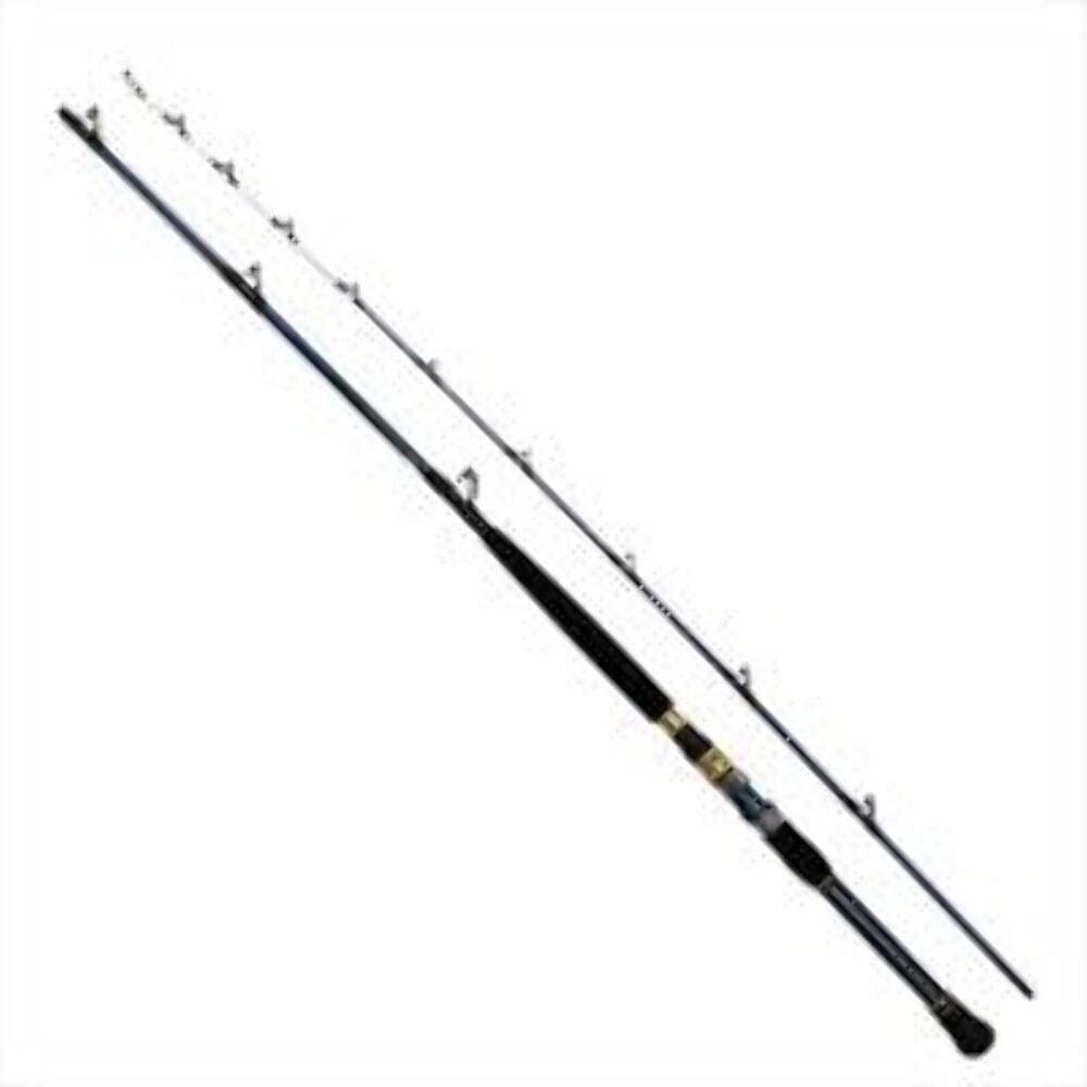 Daiwa Boat Rod Gouin Otoshikomi MMH-248/ R (Baitcasting 2