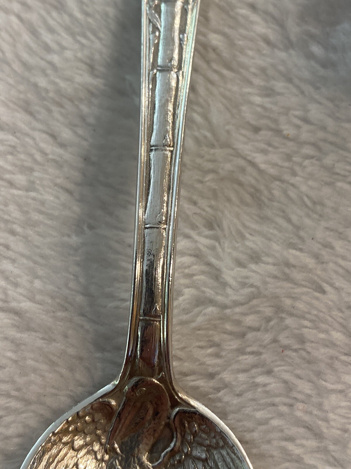 Picture 5 of 15