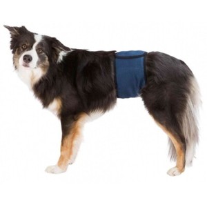 incontinence pads for male dogs