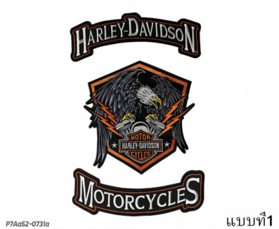 Embroidered patch Gray winged eagle on the big engine piece sewn