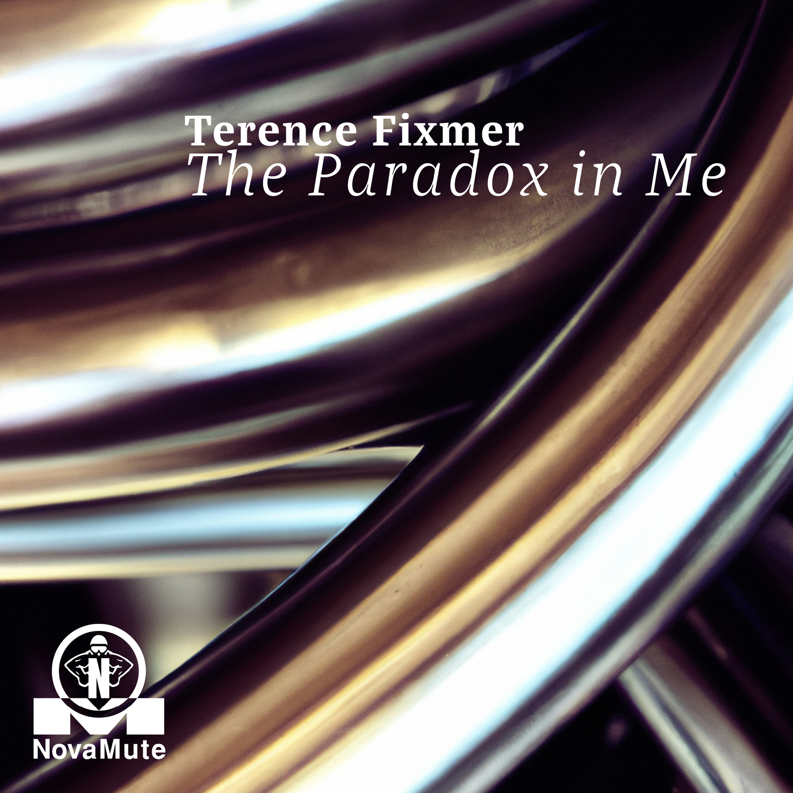 Terence Fixmer THE PARADOX in ME (Vinyl LP) 12" Single