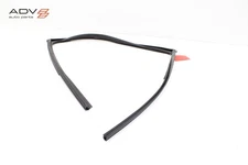 18-24 HONDA ODYSSEY REAR LEFT SIDE SLIDE DOOR WINDOW GLASS RUN CHANNEL SEAL OEM