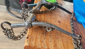 Mexican Charro horse bit also know as a Freno Charro with silver inlays