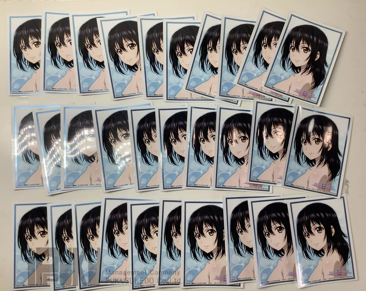 Bushiroad Character sleeve Strike the Blood Third Himeragi Yukina