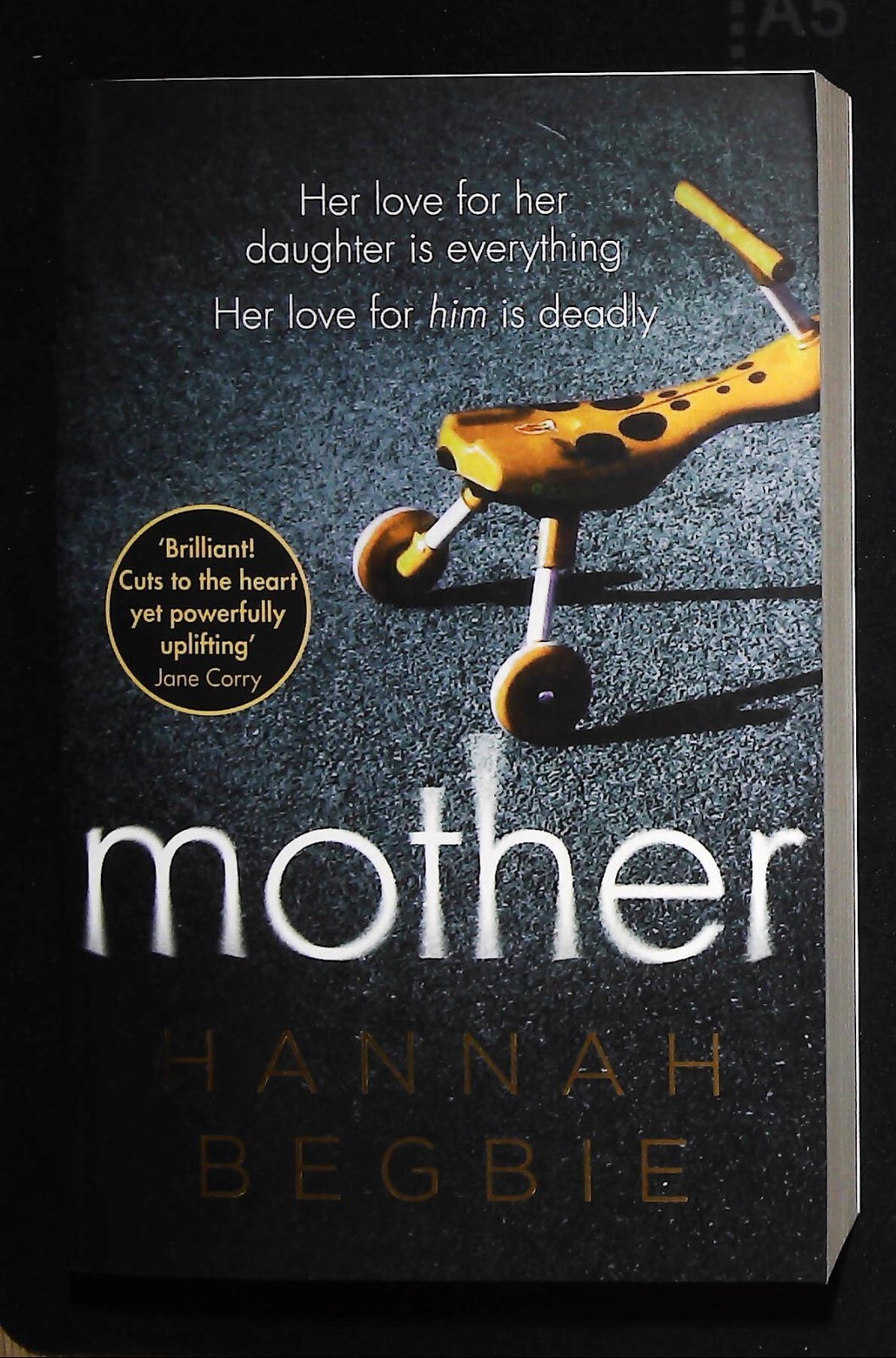 Hannah Begbie MOTHER Book NEW A gripping emotional story of love and obsession
