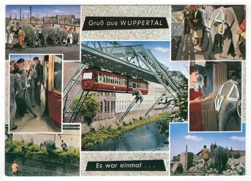 AK Wuppertal / Elefant "Tuffis"-Wuppersprung aus der Schwebebahn im Juli 1950 - Bild 1 von 2