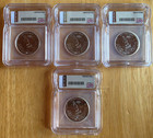 Lot of 4   1776-2026-P 50C Semiquincentennial ICG-MS66/65 Initial Release — photo 2