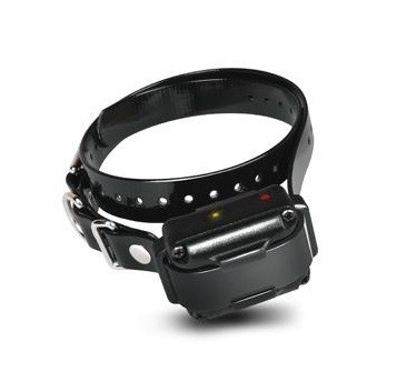 Collier Dogtra IQ Plus supplémentaire récepteur étanche dressage chien