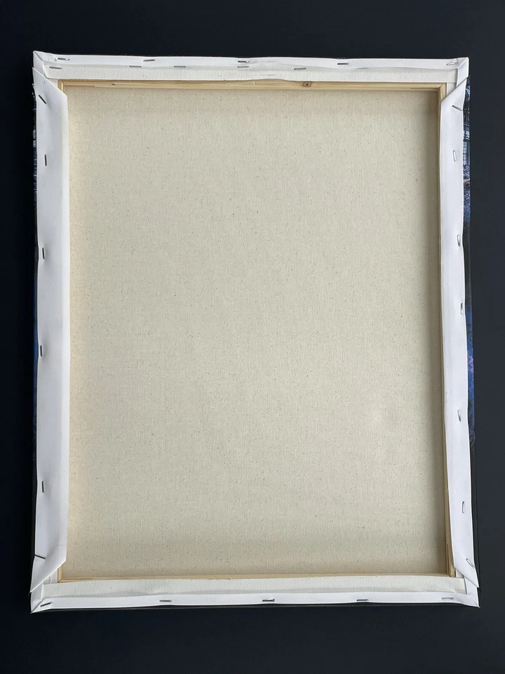 Pat McAfee Signed Autographed 16x20 Canvas Indianapolis Colts Psa/Dna Coa FTB - Image 4 of 4