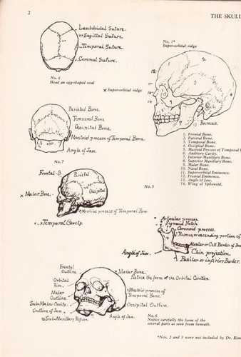 1876 ~ ART ANATOMY by William Rimmer ~ Dover Edition First Published USA 1972 - Picture 2 of 12