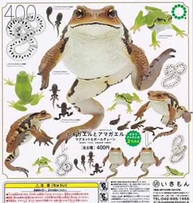 Nature Technicolor MONO PLUS Toad and Tree Frog Magnet & Ball Chain x all6 gacha