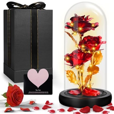 UCAMP Rose Eternelle sous Cloche,Rose Enchantée,La Belle et la Bête Rose Eternel