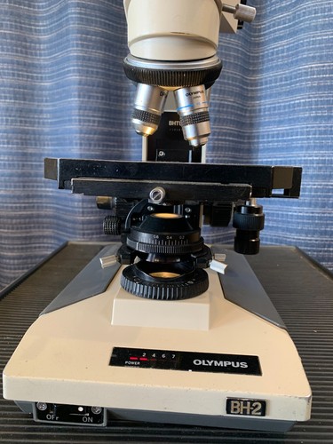 Olympus BH-2 Microscope Dual View Trinocular Photomicrography Setup WK 10X/20L - Picture 6 of 21