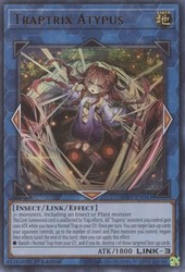 Traptrix Atypus SDBT-EN043 Ultra Rare 1st Edition Yugioh Card
