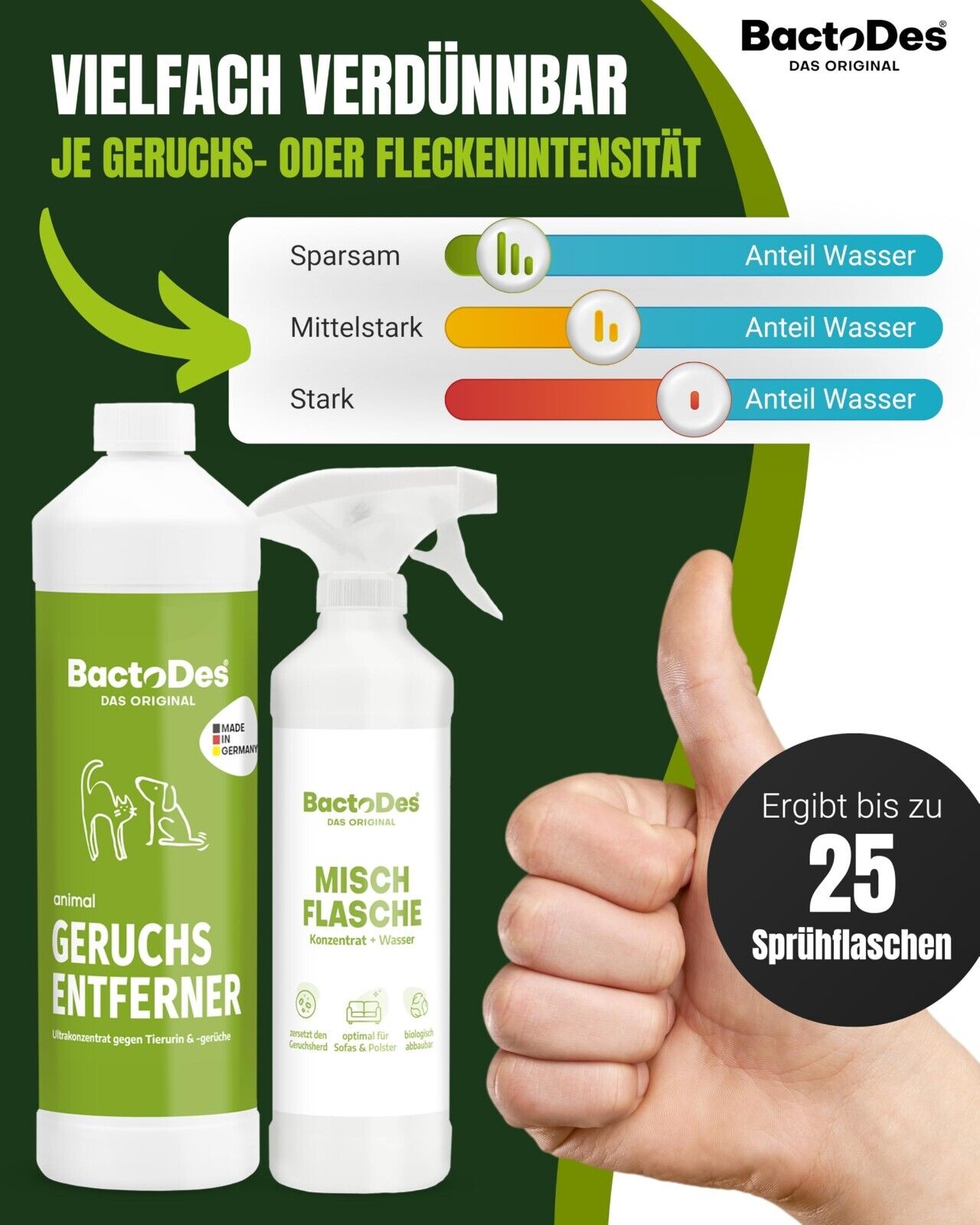 Bild 6 von 8