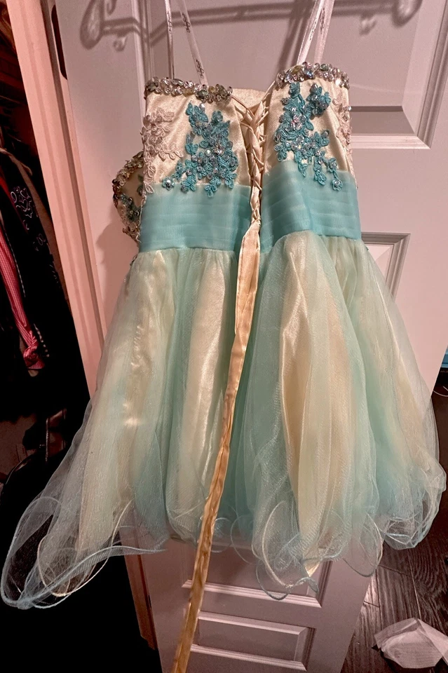 Vestido de fiesta talla grande Foto 3 de 4