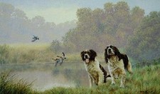 Water Sport Spaniel By Nigel Hemming Open Edition Print Gift