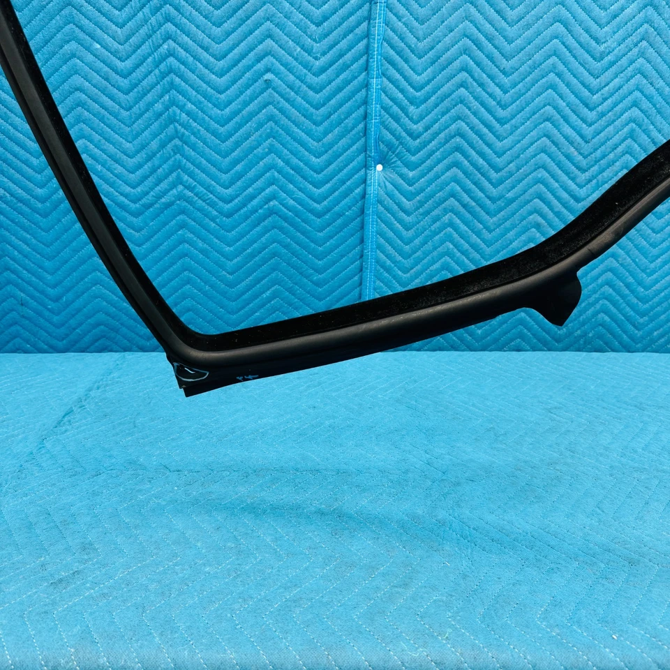 BMW 650i 2012-2017 sello de resistencia para puerta del conductor delantero derecho OEM 7221326 Foto 4 de 4