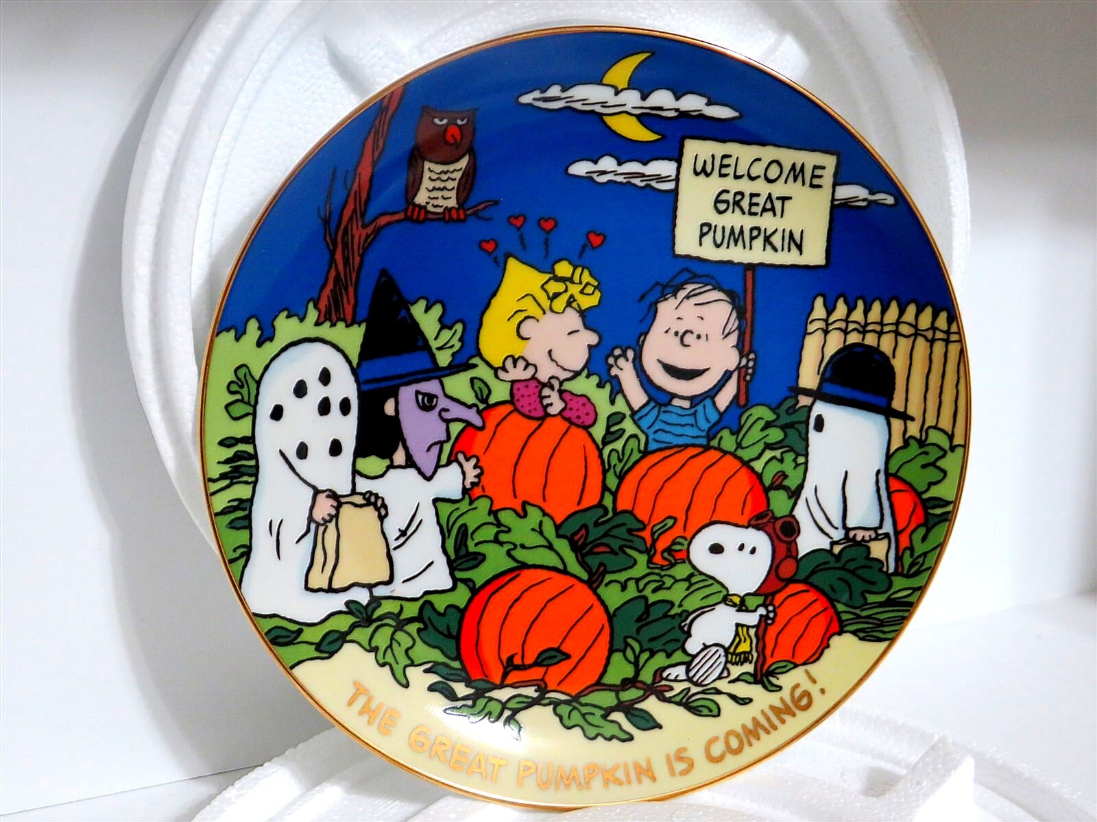 SNOOPY Charlie Brown Peanuts Porcelain Collectible Plate Danbury Mint 1988 Magic Moments