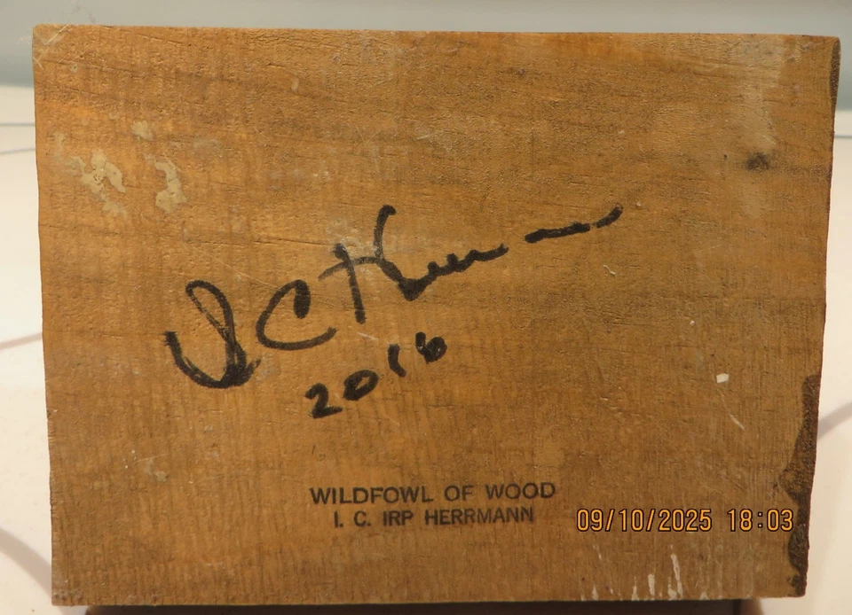 Gaviota de madera tallada a mano por Irp Herrmann Foto 4 de 4