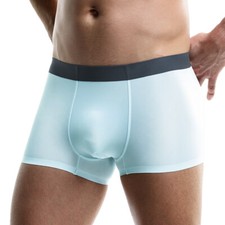 Mens Ice Silk Boxer Briefs Breathable U Pouch Underwear Breathable Panties