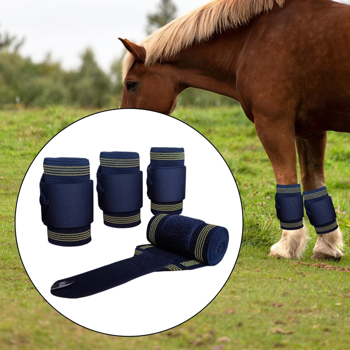 Horse leg wraps outlet