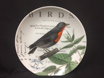 Fringe Studio Baltimore Oriole 8.5'' Ceramic Salad Lunch Dessert Plate SET/4 NEW