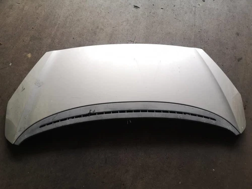 Capo para PEUGEOT 1007 * 2005 181901 - Imagen 1 de 5