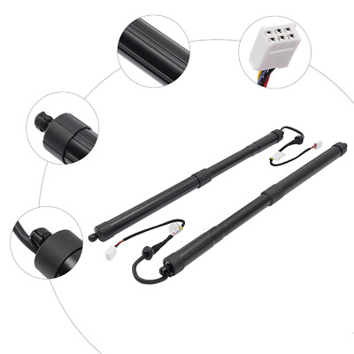 For 2019-2022 TOYOTA RAV4 Liftgate Lift Support Gas Spring Struts 6892042020 NEW