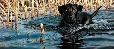 Stephen Hamrick - Cold Water, Warm Heart Black Lab - S/N Litho - Signed - MINT