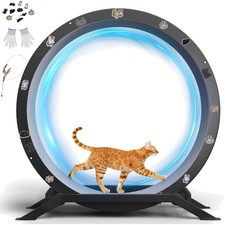 GTPLAYER Cat Exercise Wheel 40 Inch Diameter Grey