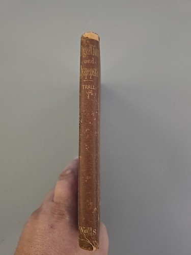 Digestion And Dyspepsia Dr Trall 1873 First Printing Very Rare Antique - Picture 3 of 13
