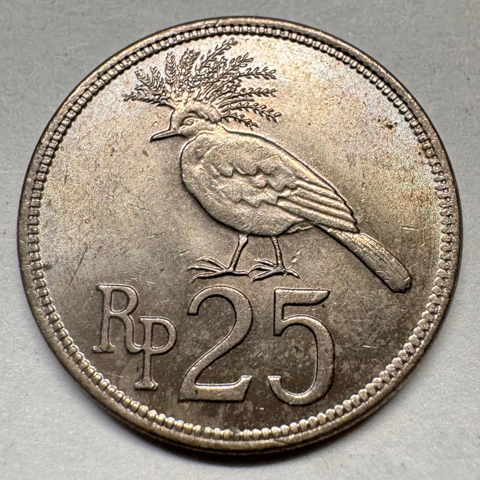 1971 Indonesia 25 Rupiah - Beautiful Coin - #A-063 | eBay