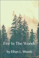 Fire in the Woods, Paperback by Woods, Ethan L., Like New Used, Free shipping...