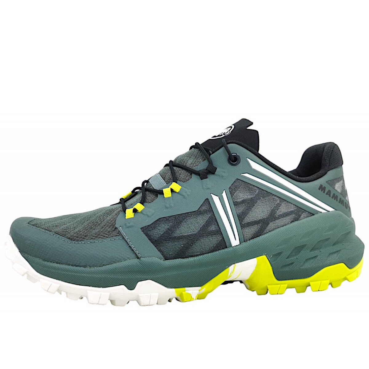 Маммут Сертиг из Нижнего Дамена бродит по Грюну 31590₽