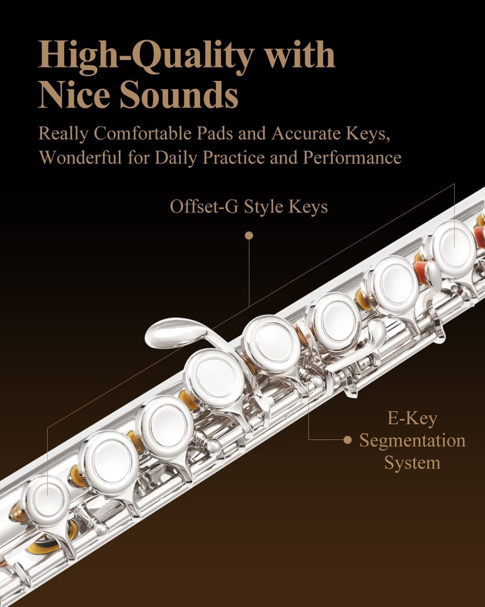 管楽器・吹奏楽器 Eastar Flute Covered Key 16 Holes Eastar 16 Key C Flute, Closed Hole, Beginner Musical