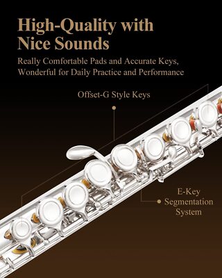 【美品】Eastar フルート Eastar EFL 16 Key Closed Hole C Flute Beginner and Advanced Bundle