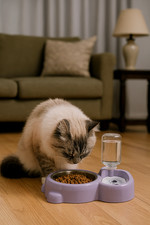 Dog  Cat Food and Water Bowl Set with Water Dispenser and Stainless Steel Bowl