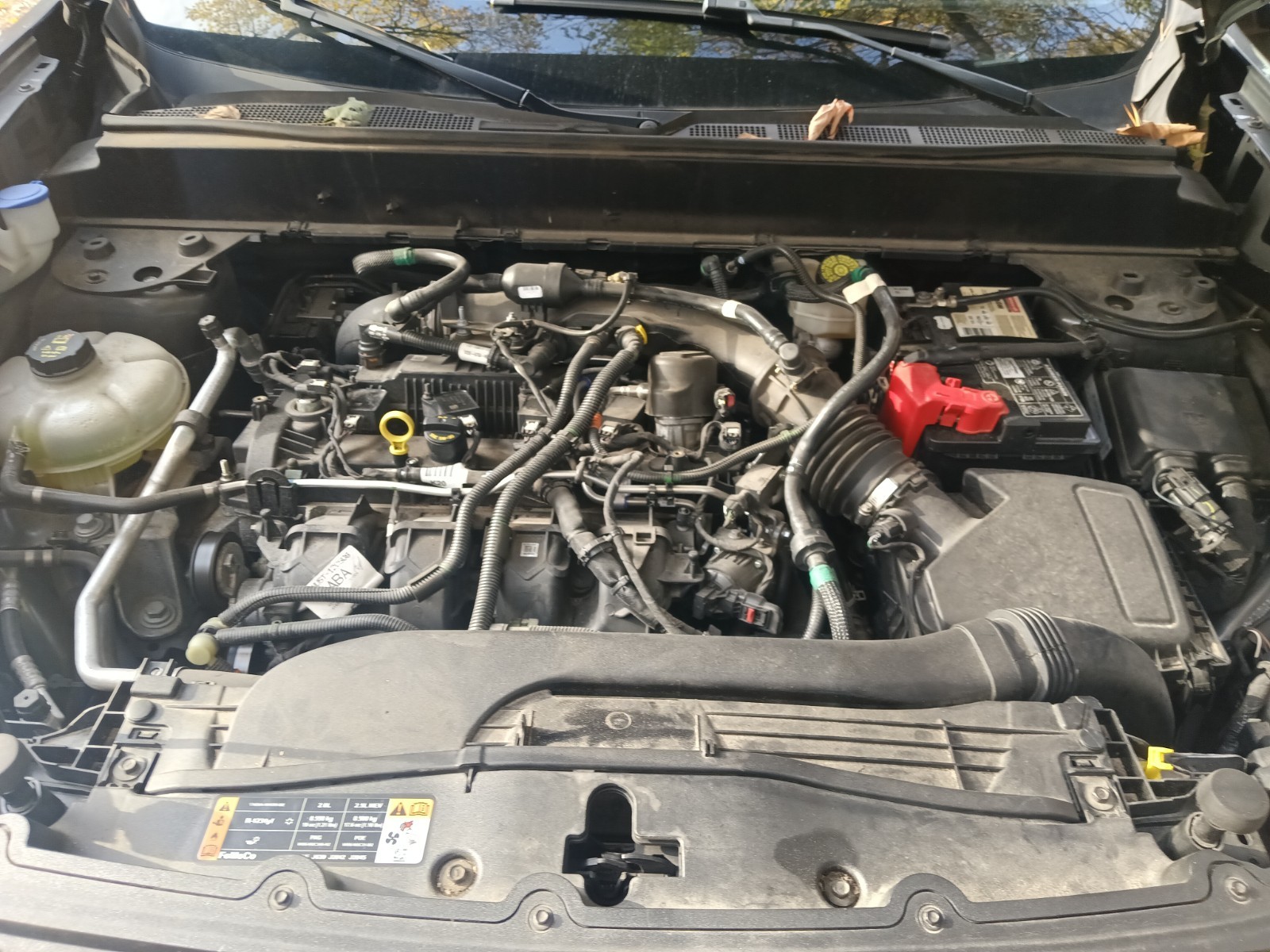 2022 Ford Maverick XLT