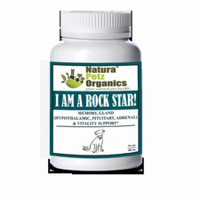 I Am A Rock Star - Memory, Gland Hypothalamic, Pituitary And Adrenal  