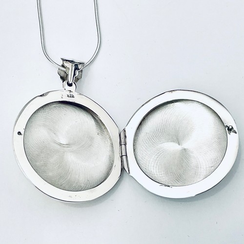 Sterling Silver 925 Gold Pet Cat animal Photo Memory Pill holder Round Locket - Picture 6 of 8