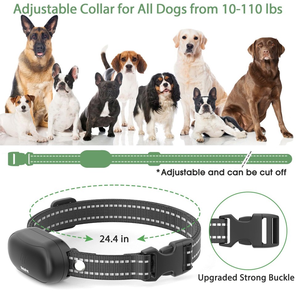 Dog Shock Collar Electric Dog Training Collar with Remote 1600FT