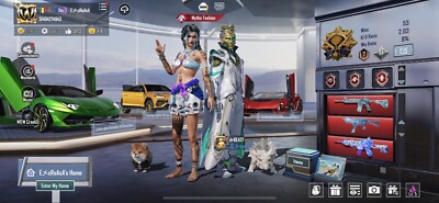 pubg mobile accounts