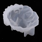 2Pcs Wolf & Lion Resin Casting Molds Clear Silicone Molds