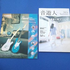 YAMAHA Pacifica correlata